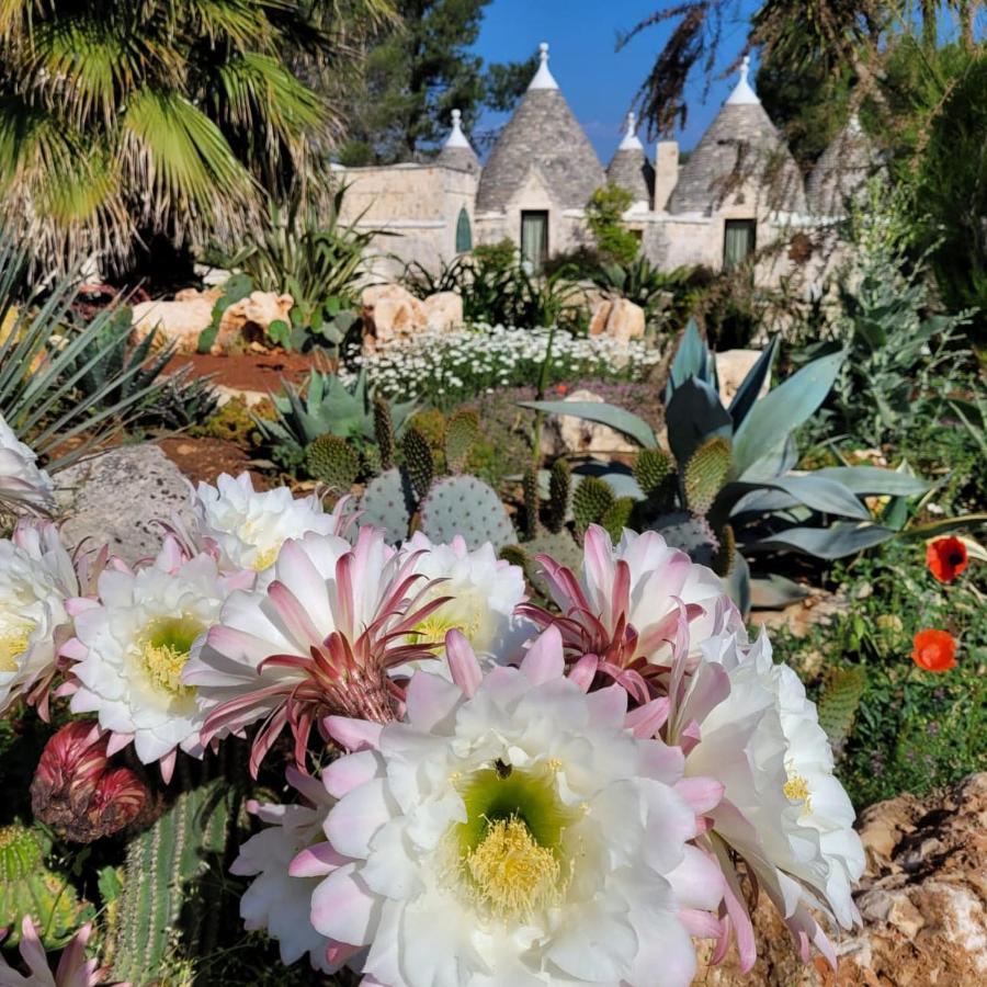 Trullo Bosco Libero Ostuni Βίλα Εξωτερικό φωτογραφία