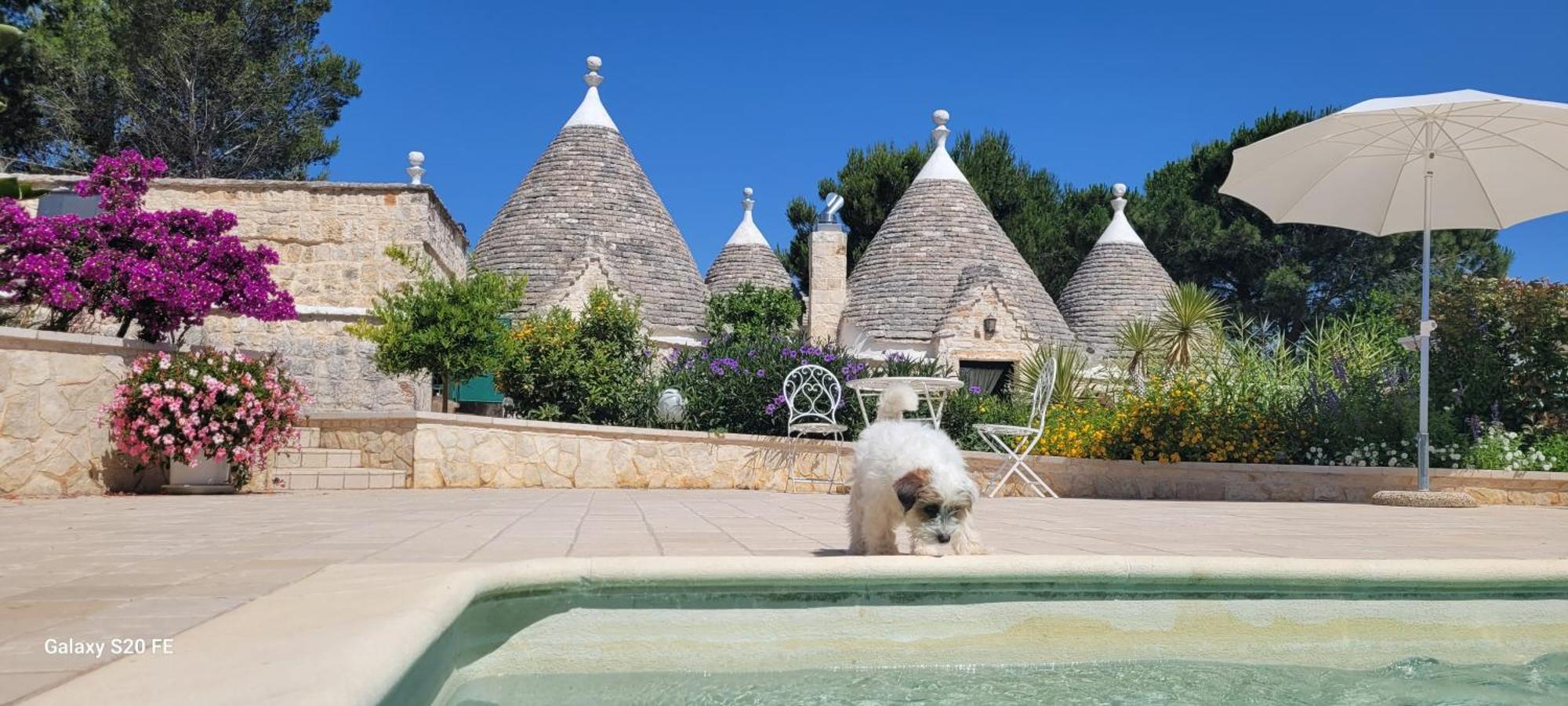 Trullo Bosco Libero Ostuni Βίλα Εξωτερικό φωτογραφία