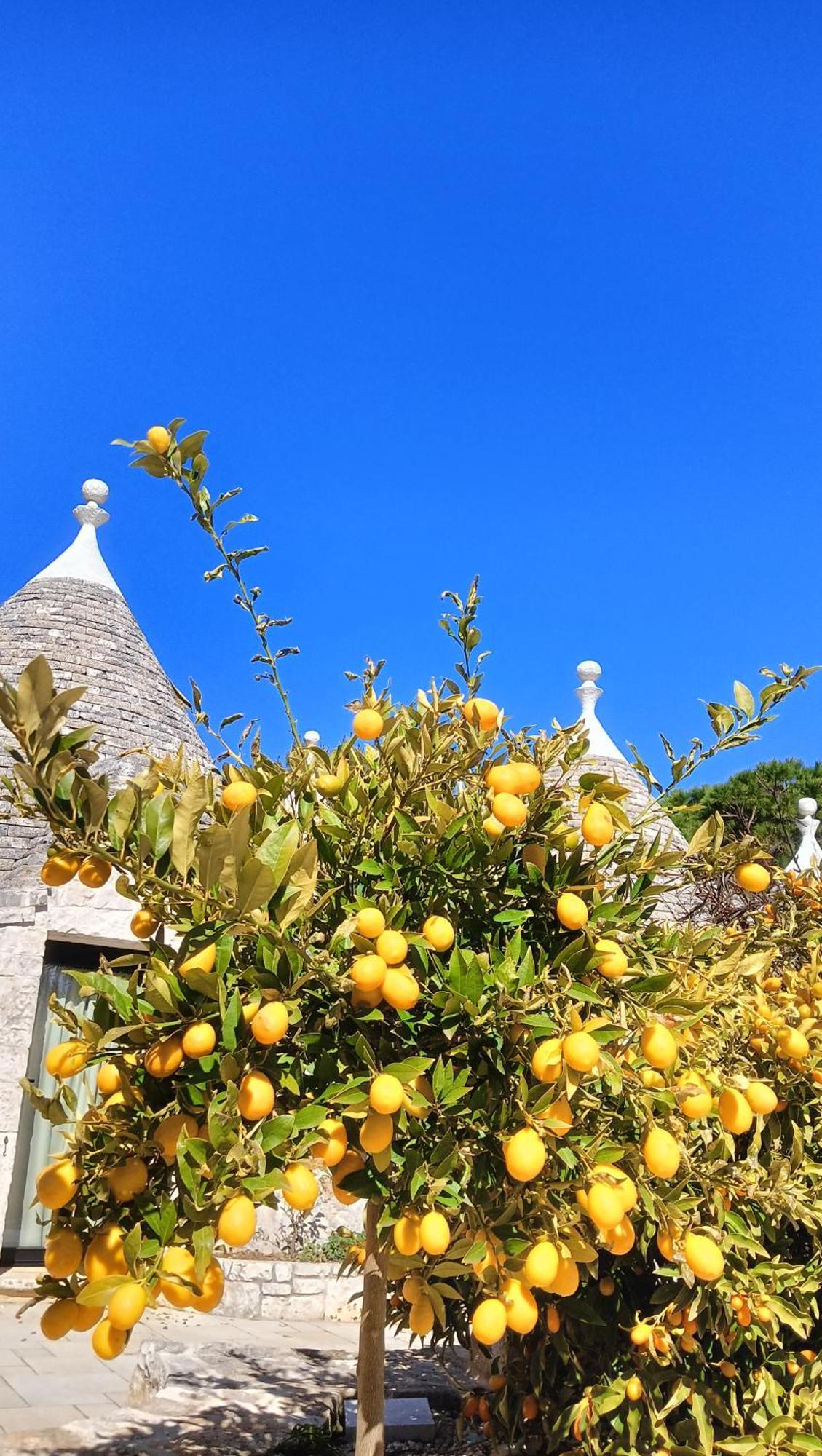 Trullo Bosco Libero Ostuni Βίλα Εξωτερικό φωτογραφία
