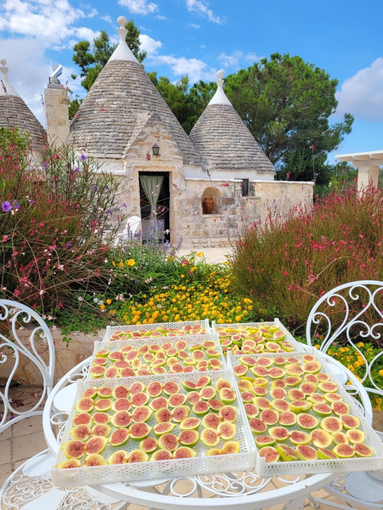 Trullo Bosco Libero Ostuni Βίλα Εξωτερικό φωτογραφία