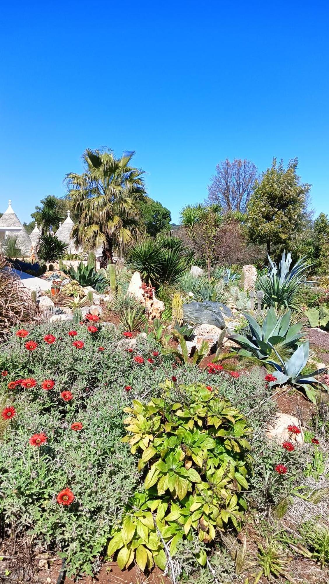Trullo Bosco Libero Ostuni Βίλα Εξωτερικό φωτογραφία