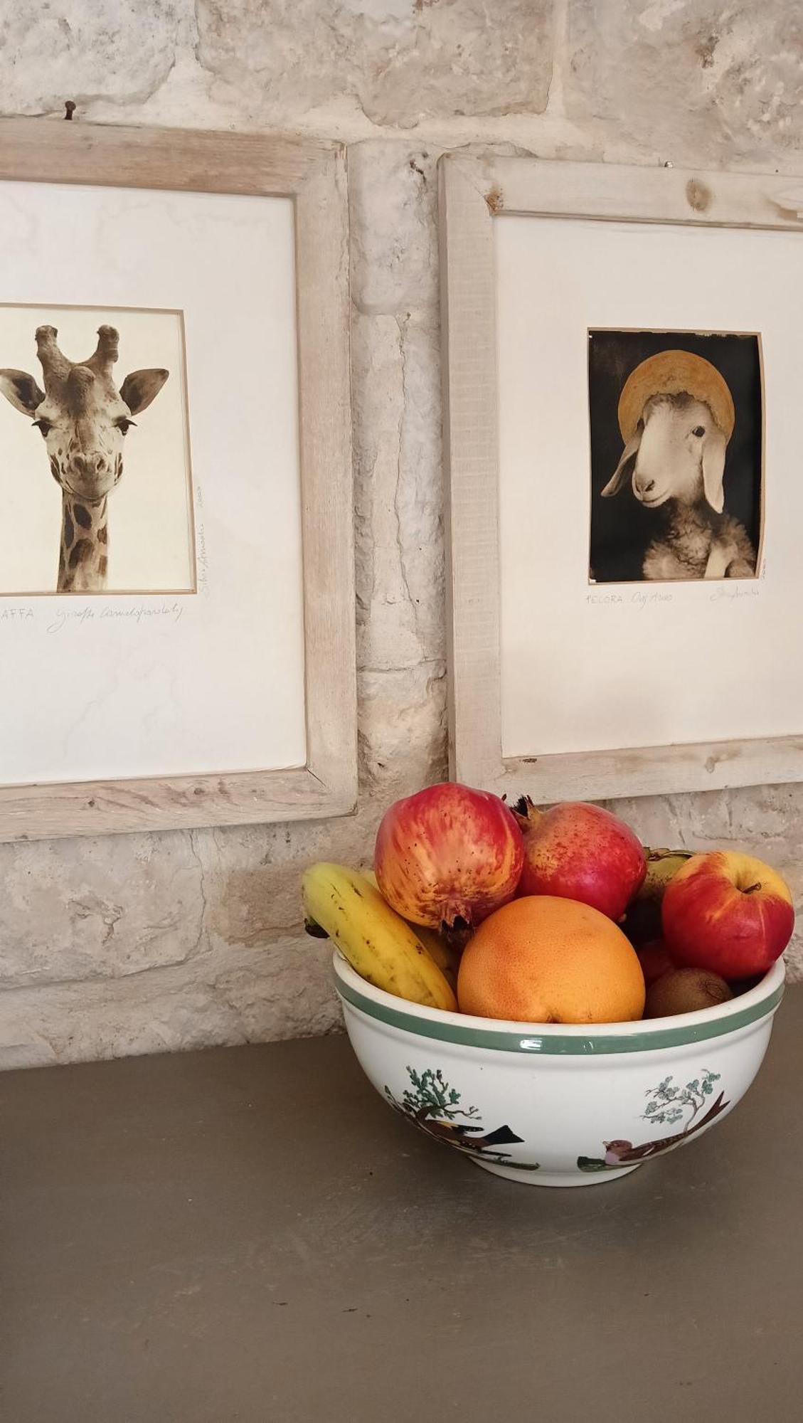 Trullo Bosco Libero Ostuni Βίλα Εξωτερικό φωτογραφία